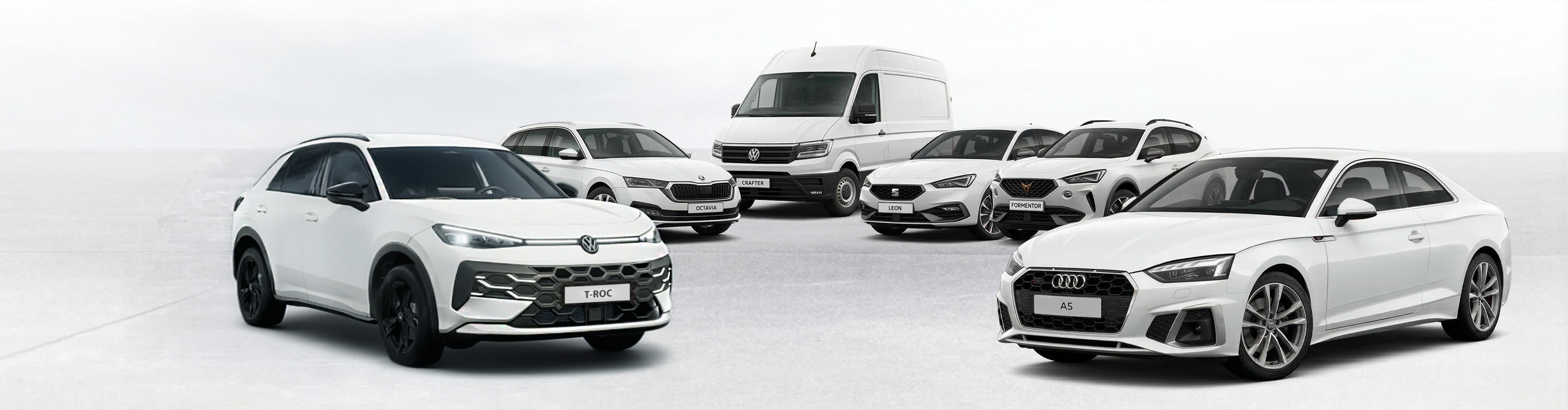 Samochody marek Volkswagen i Skoda